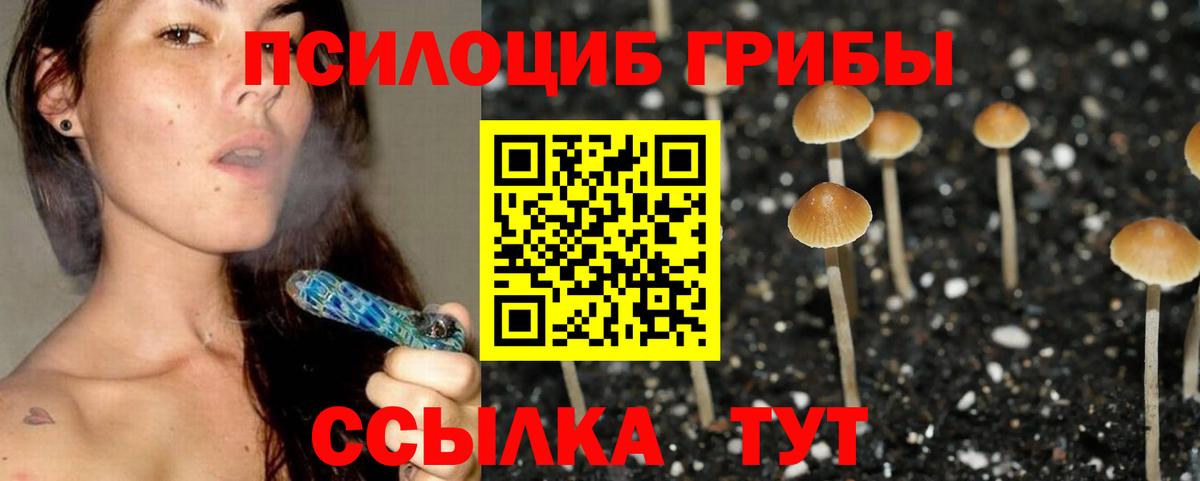 Псилоцибиновые грибы ЛСД  Вход с VPN  Галлюциногенные грибы ЛСД  Кольчугино 