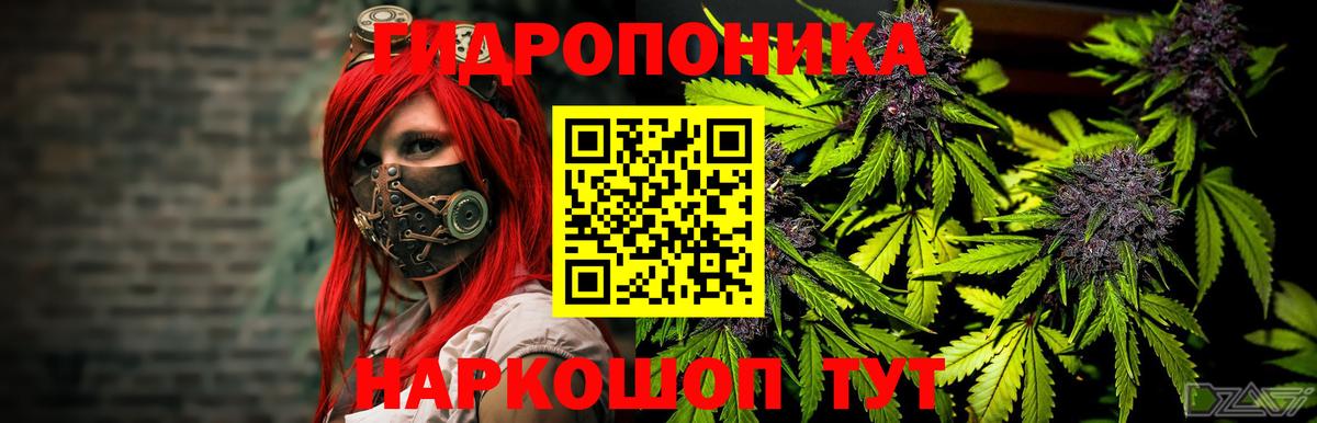 Канабис MAZAR  Канабис план  МАРИХУАНА сатива  Кольчугино  Вход с VPN 